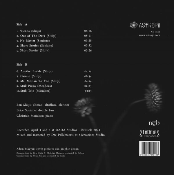 Latest Music Releases, astropi music, music production, music band, music recording, music and sound production, independent music production, sound music production, Musicians, Brice Soniano, Out of the Wild, Rituals for Peace, Toma Gouband, Sound Graphs, Music Band Installations, Toma bands, Toma gouband solo, La Rencontre, Orytmi